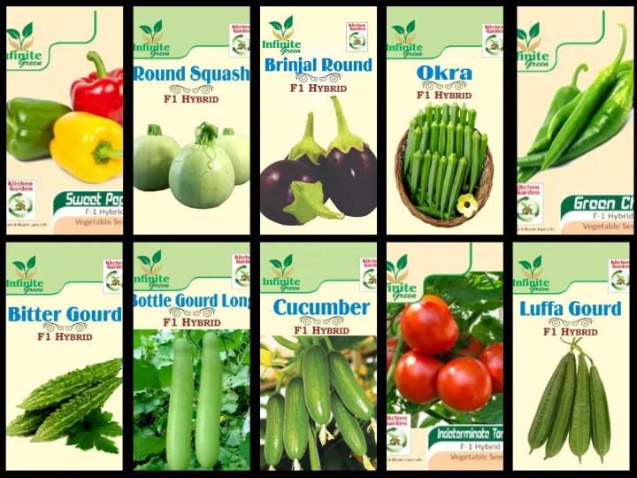 Pack%20of%2010%20F1%20Hybrid%20Summer%20Vegetables%20seeds%20-%20Image%202