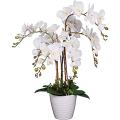 Artificial White Orchid Flower with Black Planter.. 