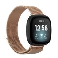 For Fitbit Versa 3 / Fitbit Sense Magnetic Milano Watch Band, Size:Large Size. 