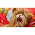 Cute Pet Cosplay Clothes Wig Emulation Transfiguration Costume Lion Hair Mane Ears Head Cap For Pet Cat Dog Dress Up Photo Props. 