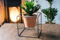 1 Metal Cube Plant Stands, Wire Plant Pot Stand, Metal Plant Holder, Flower Pot Stand, Steel Wall Hanger, Minimalist Plant Stand, Customized by Dhudhi Mart. 