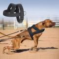 Weight Pulling Dog Training Harness. 