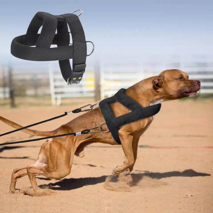 Weight Pulling Dog Training Harness