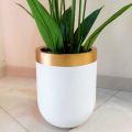 Fiberglass Planter U-Shape Decorative Pots Light Weight, Plant Pot 16 Inch Height, Indoor-Outdoor Plant Vase,  Glass Shape pot for real and artificial plants. 