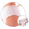 Disposable Period Panty, Women Period Underwear, Postpartum panty, Sanitary Napkin Pants, Menstrual Pull-up Pant. 