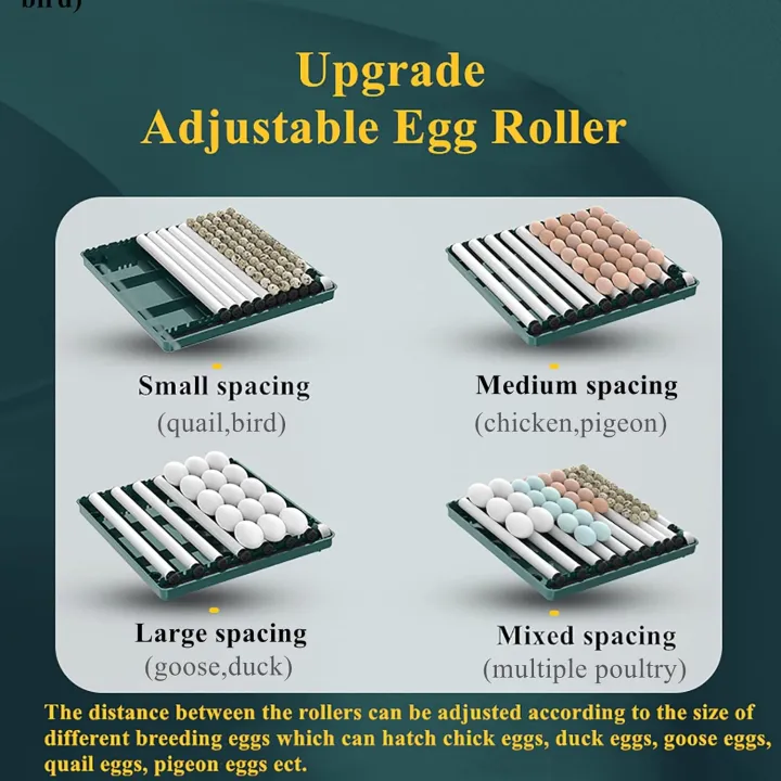 30%20Chicken%20Eggs%20Automatic%20Incubator%20with%20Automatic%20Egg%20Turner%20&%20Built-in%20Candler%20-%20Auto%20Water%20Refill%20System%20-%20Image%204