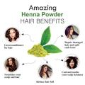Mehndi / Henna Leaf powder – 100 gm - Natural - Hair & Beard Dye – Chemical Free [مہندی]. 