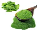 Spinach Powder 100 Gram Palak Leaf Powder. 