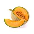 Fruit Seed, Musk Melon Seed, (Kharbooza Seed) Seed for kitchen gardening. 