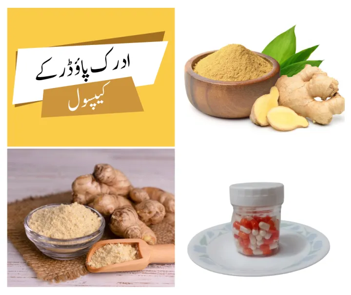 Ginger%20Powder%20Capsules%7C%20Adrak%20Herbal%20%20100%25%20Pure%20&%20Natura%20:%2050%20-%20Image%202