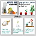 Epsom salt / Plant Food 100 gram. 