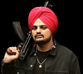 Sidhu Moosewala Vinyl Sticker for All Bike Back Lights, Sidhu moose wala (3.5x 5 inch size). 