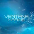 Armaf Men's Perfume Ventana Marine Eau De Parfum For Him 100ml Blue, Perfumes for Men. 