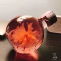 Sakura small bottle spherical glass bottle juice drink bottle palace style ins bottle self-brewing sub-bottling high value. 
