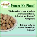 Paneer Phool, Paneer Doda-56gm. 