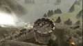 Stronghold 3 (latest version) in DVD for pc. 