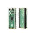Raspberry Pi Pico High-Performance Microcontroller Board with Acrylic Case. 