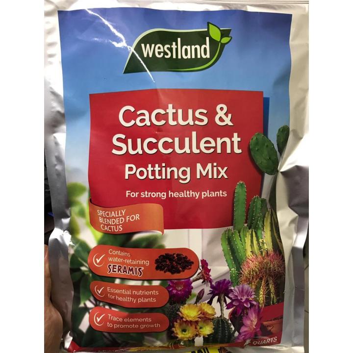 WESTLAND CACTUS & SUCCULENT POTTING MIX 1KG BAG (USA IMPORTED) | Daraz.pk
