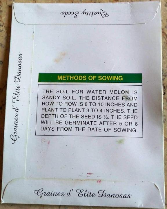 Water%20Melon%20(Sugar%20Baby)%20-%20Image%204