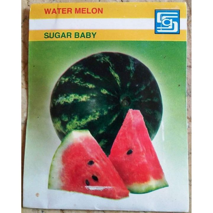Water Melon (Sugar Baby)