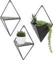 Indoor Wall Planter and Wooden Wall Display Shelves with Black Metal Frames Metal. 