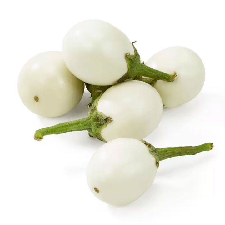 20+%20White%20Eggplant,%20Baingan,%20Brinjal%20-%20Kitchen%20Gardening%20Vegetable%20Seeds%20-%20Image%207