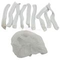 Disposable Surgical Caps – White Color Hair Net - Pack Of 50 Hair Net. 