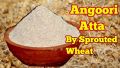 Samnak / Angoori Atta / Sprouted Wheat Flour 240G. 