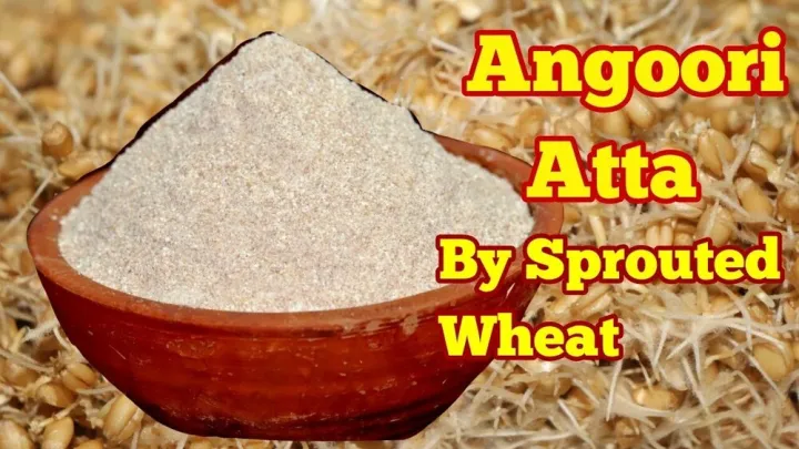 Samnak%20/%20Angoori%20Atta%20/%20Sprouted%20Wheat%20Flour%20240G%20-%20Image%207