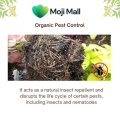 Organic Neem Cake powder Fertilizer for plants - Pest Control - نیم کیک - Natural Khad - Home Garden Fertilizer for Vegetable & Flower - Neem Khali powder for Healthy Plants - Improved Soil Health - Eco-Friendly by Moji Mall. 