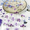 Purple Flower Stickers Journal Stickers Green PET Plant Stickers Aesthetic Stickers DIY. 