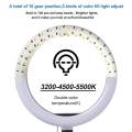 Selfie Ring Light With Stand 26cm/10inch Studio Light Dimmable 3 Modes Photography Lighting. 