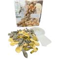 RETRO SAND COLOR THEME PARTY DECORATION BALLOONS SET - LATEX BALLOONS - TRANSPARENT BALLOONS - ARCH TAPE - DOT DOUBLE TAPE. 