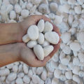 Mat Snow White Garden Pebbles for Sale Cobble Stone- 5 kg pack. 