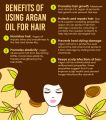 Argan Oil (آرگن آئل) - 120ml – pure & Organic - Edible. 