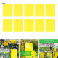 Dual-Sided Yellow Sticky Traps for Flying Plant Insect Such Fungus Gnats, Whiteflies, Aphids, Leafminers,Thrips, 6x4 Inch. 