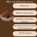 Coco Peat 1kg – Organic Cocopeat for Seedlings & Seed Sowing Mix  Ready to Use Potting Soil & Potting Mix  Natural Soil Conditioner with Moisture Retention for Healthy Root Growth  Ideal for Home Garden & Nursery Use Umbiz. 