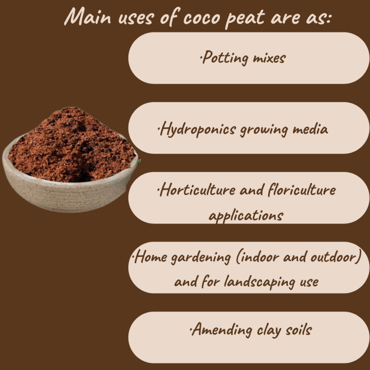 Coco%20Peat%201kg%20%E2%80%93%20Organic%20Cocopeat%20for%20Seedlings%20&%20Seed%20Sowing%20Mix%20%20Ready%20to%20Use%20Potting%20Soil%20&%20Potting%20Mix%20%20Natural%20Soil%20Conditioner%20with%20Moisture%20Retention%20for%20Healthy%20Root%20Growth%20%20Ideal%20for%20Home%20Garden%20&%20Nursery%20Use%20Umbiz%20-%20Image%206