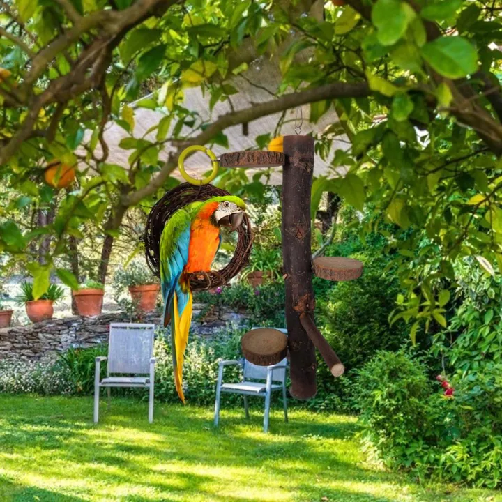 Wood%20Parrot%20Play%20Stand,%20Nature%20Wooden%20Parrot%20Bird%20Fork%20Stand,%20Natural%20Wooden%20Parrot%20Platform,%20Wooden%20Stick%20Platform%20Rope%20Ladder%20Bird%20Toys%20-%20Image%203