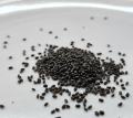 Tukhm e Rehan | Basil Seeds | تخم ریحان | wt 150 gm. 