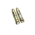 M6 x 55mm BZP Steel Anchor Bolt and Shields Wall Rawl Bolts. 