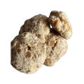 Peshawari Gurr Pure Desi Jaggery 1Kg Freshly Processed in Hygienic Environment. 