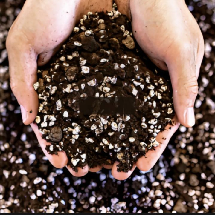 Soilless%20Potting%20Mix%20for%20Seeds%20Starter%20-%20Cocopeat%20,%20Vermi%20compost,%20Perlite%20Pack%20of%201,2,3,5Kg%20-%20Image%202