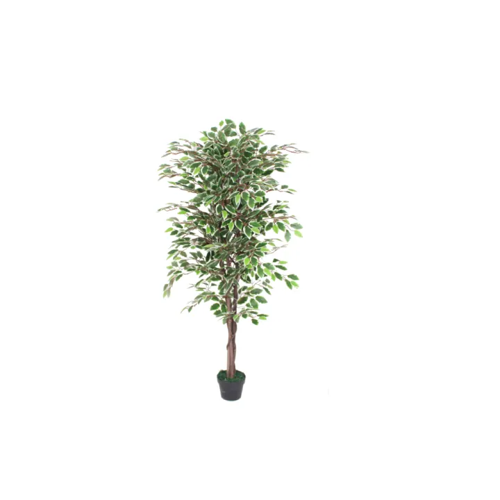 Imported%20artificial%20Ficus%20tree%20with%20black%20Planter%20-%20Image%203