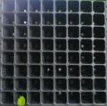 Pack of 12 Summer Vegetables seeds with 64 Holes Seedling Tray. 