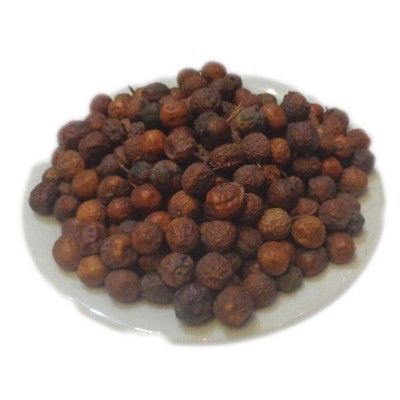 Bakain / Bakaayan / Melia Azedarach Tree Seeds