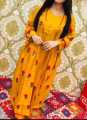 Smars Fashion Stitched shamose silk 3pc dress for Women and Young Girls Trendy Outfit. 
