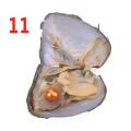 Freshwater Oyster Mussel Shell Beautiful Multicolor 7.5*6.5*1Cm Collection Vacuum Pack Love Wish Pearl Jewelry Accessories. 