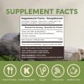 Organic Turkey Tail Mushroom Powder - Turkey Tail Mushroom Supplement - Promotes a Balanced Immune and Digestive System - 100% Fruiting Body - 100 grams - Longevity Botanicals. 