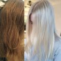 Wella Blondor Powder Multi Blonde & Wella Liquid Developer 20 Vol Set. 